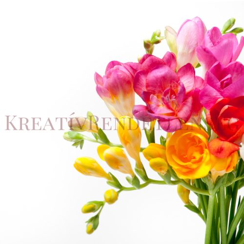 Frézia illatolaj gyertyakészítéshez - 20ml