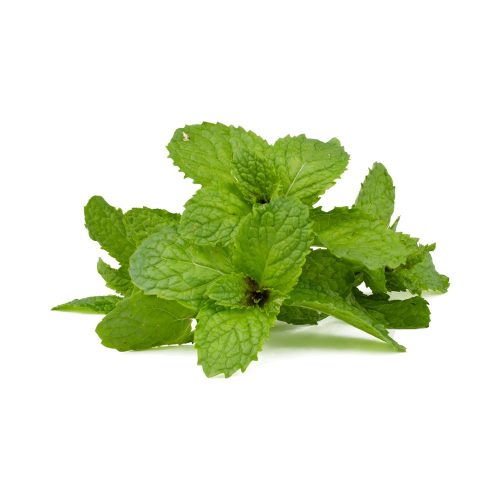 Menta illatolaj 100gr